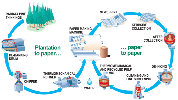 paper recycling process diagram