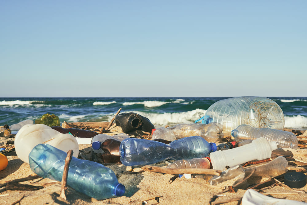 Recycling Initiatives to Reduce Single-Use Plastics
